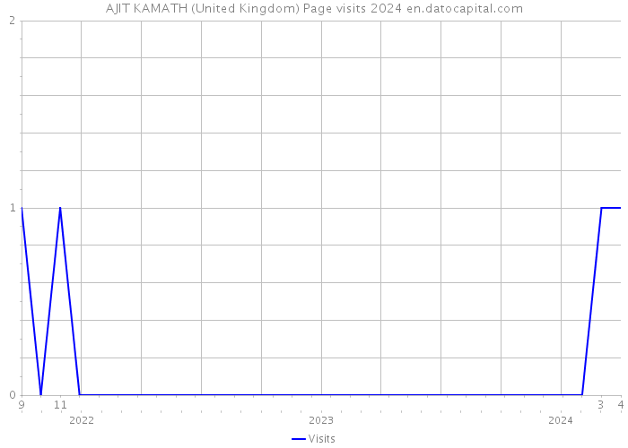 AJIT KAMATH (United Kingdom) Page visits 2024 