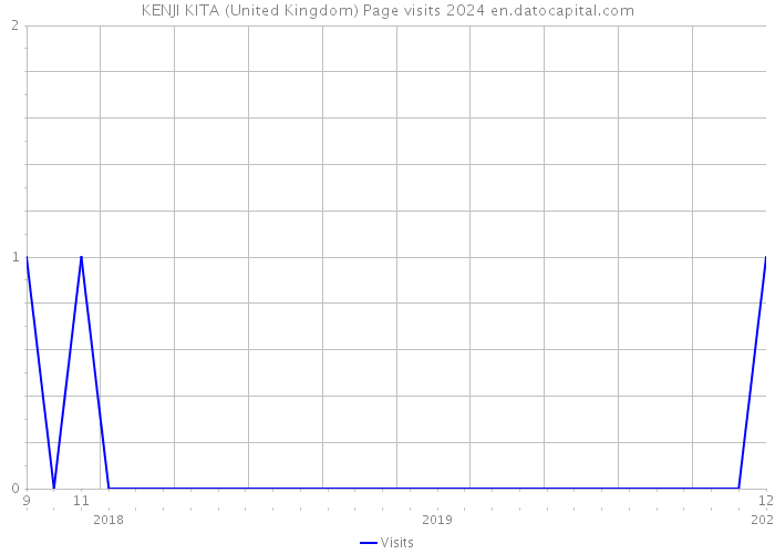 KENJI KITA (United Kingdom) Page visits 2024 