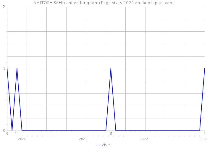 AMITOSH SAHI (United Kingdom) Page visits 2024 
