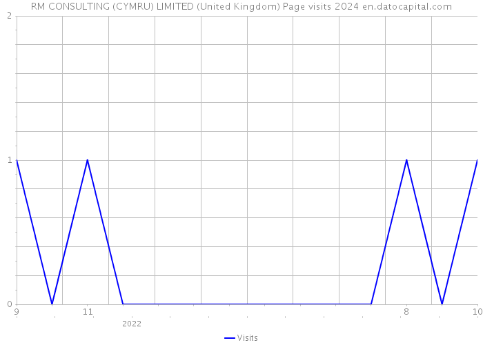 RM CONSULTING (CYMRU) LIMITED (United Kingdom) Page visits 2024 