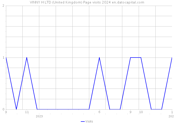 VINNY H LTD (United Kingdom) Page visits 2024 