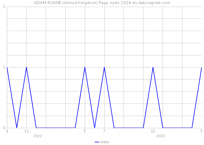ADAM RUANE (United Kingdom) Page visits 2024 