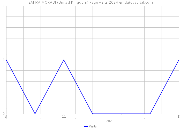 ZAHRA MORADI (United Kingdom) Page visits 2024 
