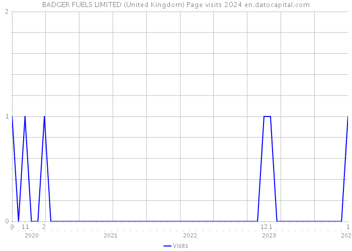 BADGER FUELS LIMITED (United Kingdom) Page visits 2024 