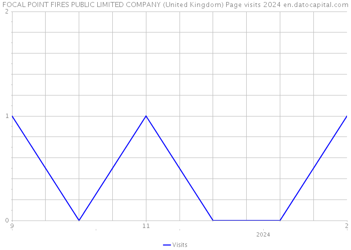 FOCAL POINT FIRES PUBLIC LIMITED COMPANY (United Kingdom) Page visits 2024 