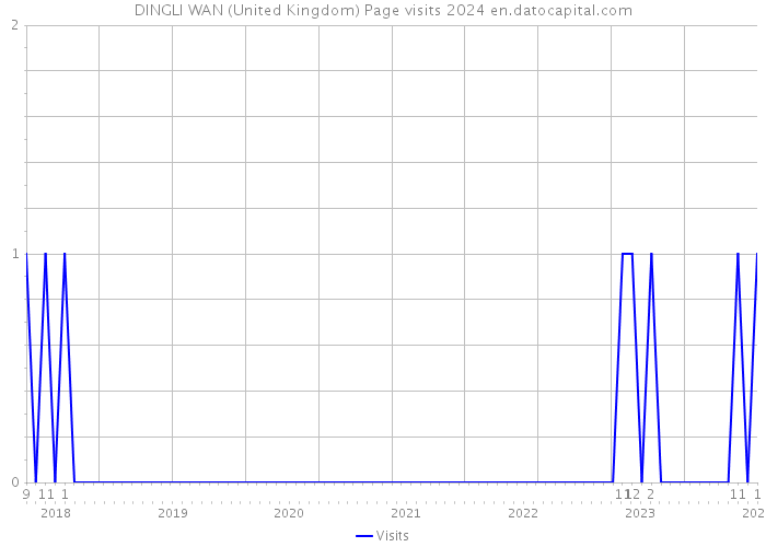 DINGLI WAN (United Kingdom) Page visits 2024 