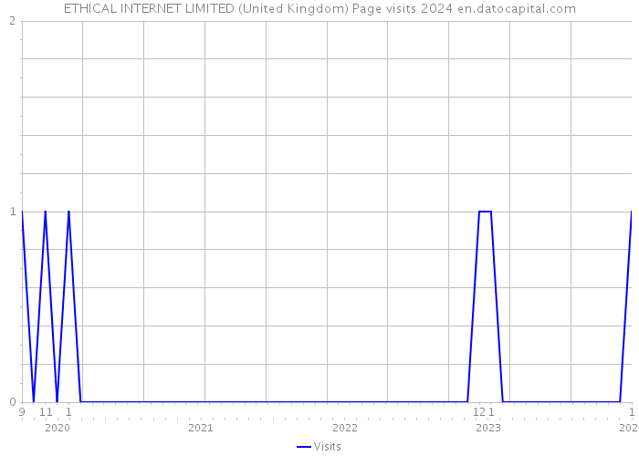 ETHICAL INTERNET LIMITED (United Kingdom) Page visits 2024 