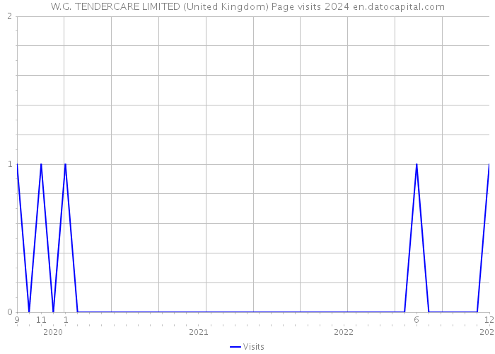 W.G. TENDERCARE LIMITED (United Kingdom) Page visits 2024 