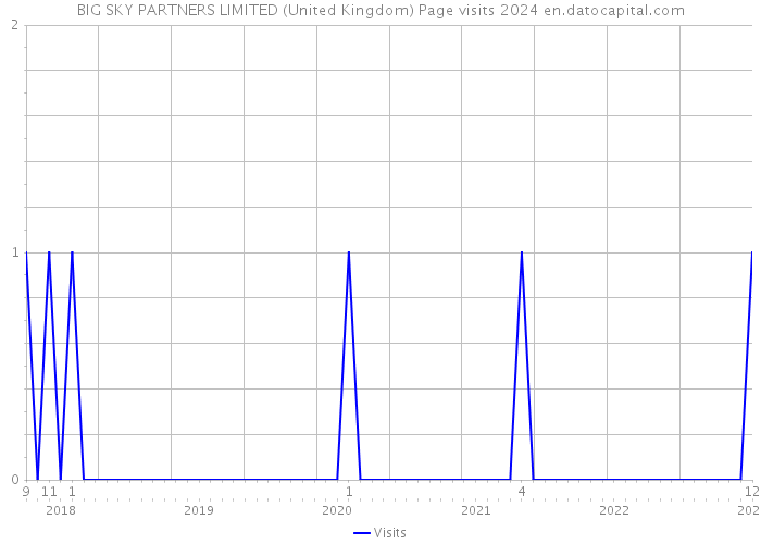BIG SKY PARTNERS LIMITED (United Kingdom) Page visits 2024 