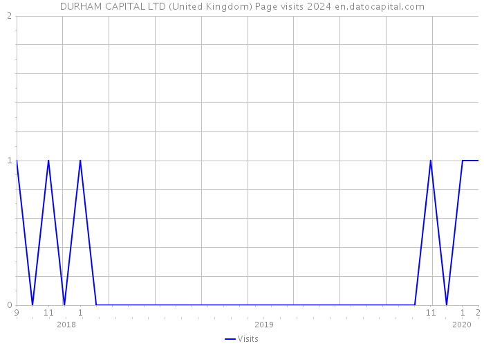 DURHAM CAPITAL LTD (United Kingdom) Page visits 2024 