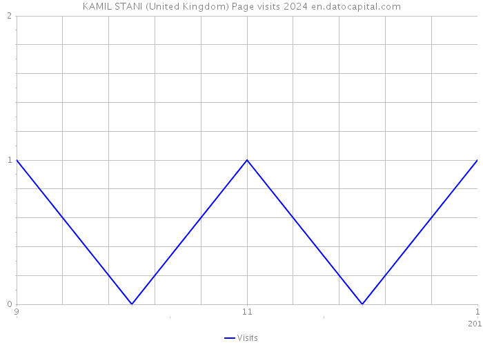 KAMIL STANI (United Kingdom) Page visits 2024 