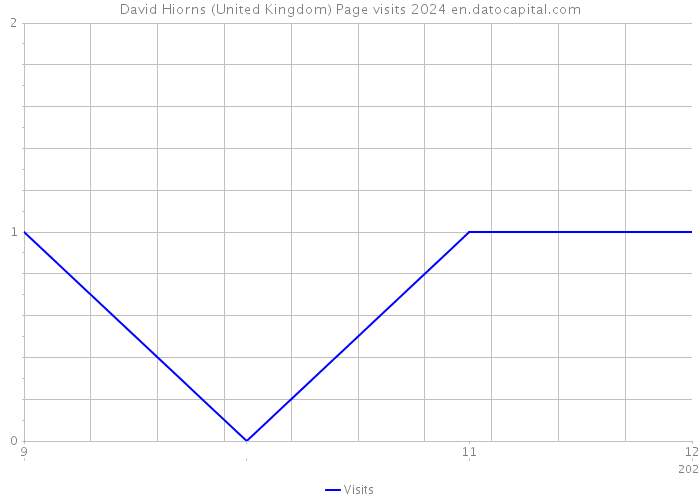 David Hiorns (United Kingdom) Page visits 2024 