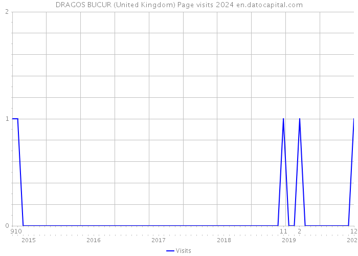 DRAGOS BUCUR (United Kingdom) Page visits 2024 