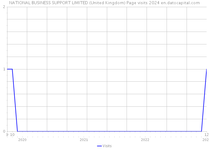 NATIONAL BUSINESS SUPPORT LIMITED (United Kingdom) Page visits 2024 