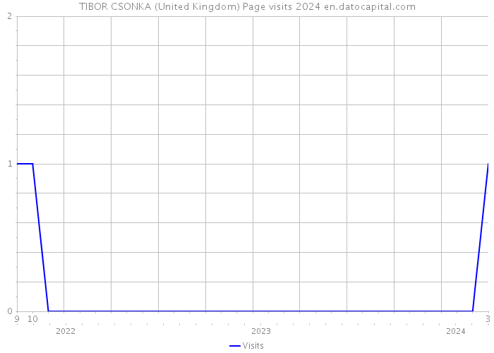 TIBOR CSONKA (United Kingdom) Page visits 2024 