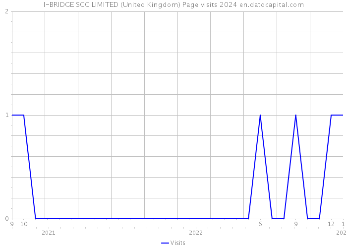 I-BRIDGE SCC LIMITED (United Kingdom) Page visits 2024 