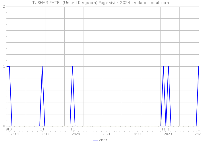 TUSHAR PATEL (United Kingdom) Page visits 2024 