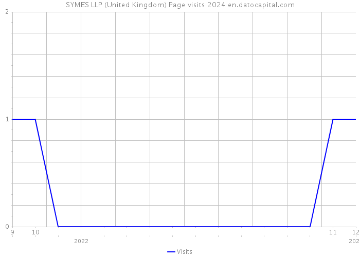 SYMES LLP (United Kingdom) Page visits 2024 