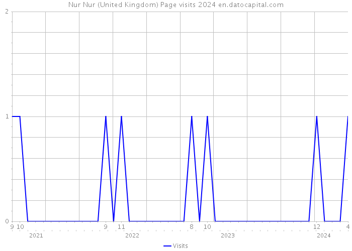 Nur Nur (United Kingdom) Page visits 2024 