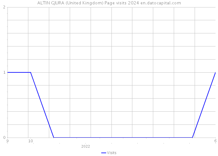 ALTIN GJURA (United Kingdom) Page visits 2024 