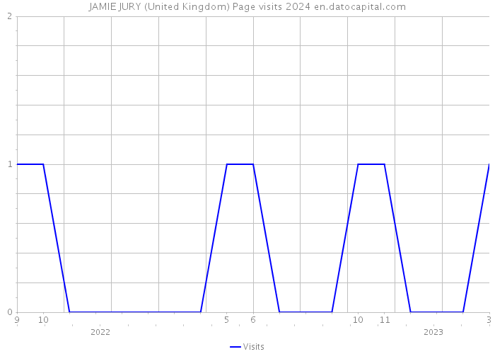 JAMIE JURY (United Kingdom) Page visits 2024 