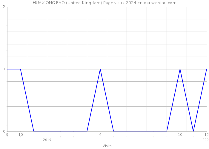 HUAXIONG BAO (United Kingdom) Page visits 2024 