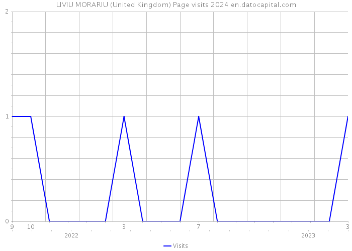 LIVIU MORARIU (United Kingdom) Page visits 2024 