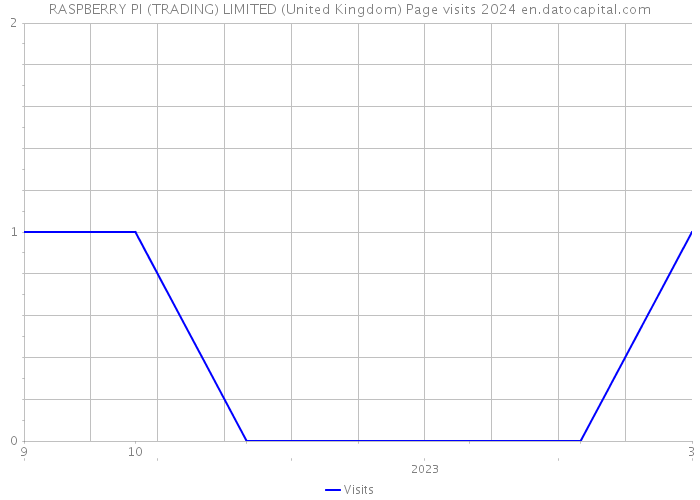 RASPBERRY PI (TRADING) LIMITED (United Kingdom) Page visits 2024 