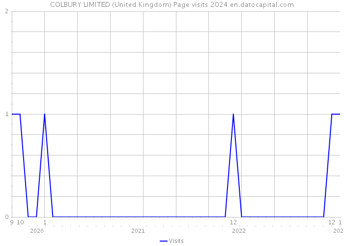 COLBURY LIMITED (United Kingdom) Page visits 2024 