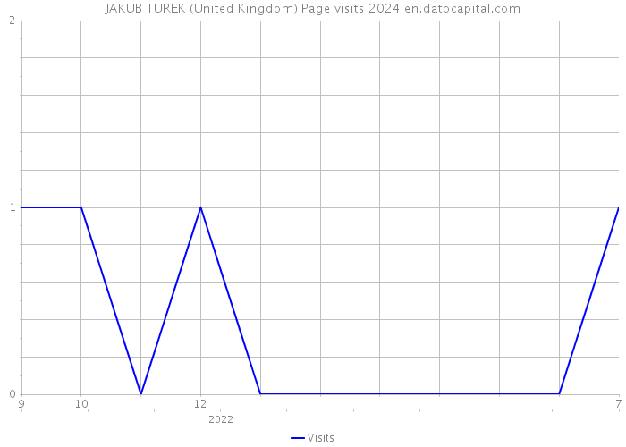 JAKUB TUREK (United Kingdom) Page visits 2024 