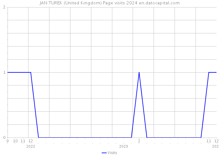 JAN TUREK (United Kingdom) Page visits 2024 