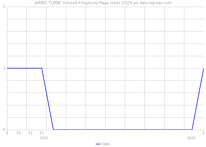 JAMES TUREK (United Kingdom) Page visits 2024 
