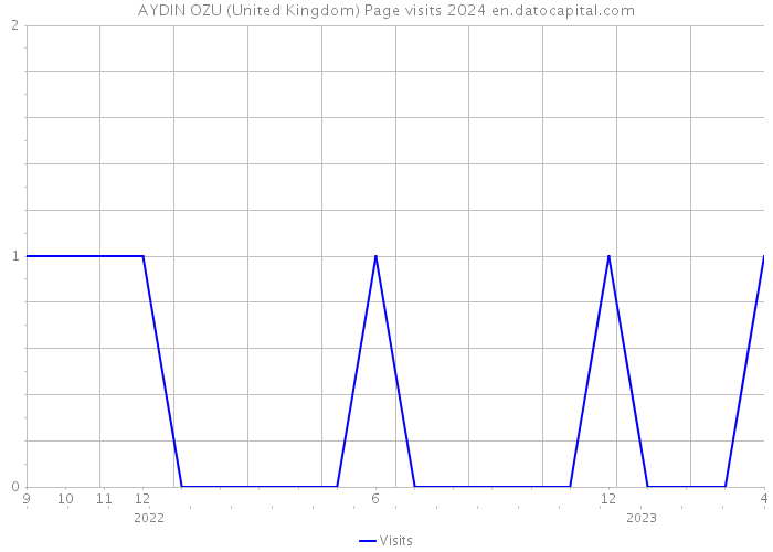 AYDIN OZU (United Kingdom) Page visits 2024 