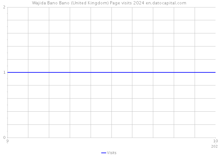 Wajida Bano Bano (United Kingdom) Page visits 2024 