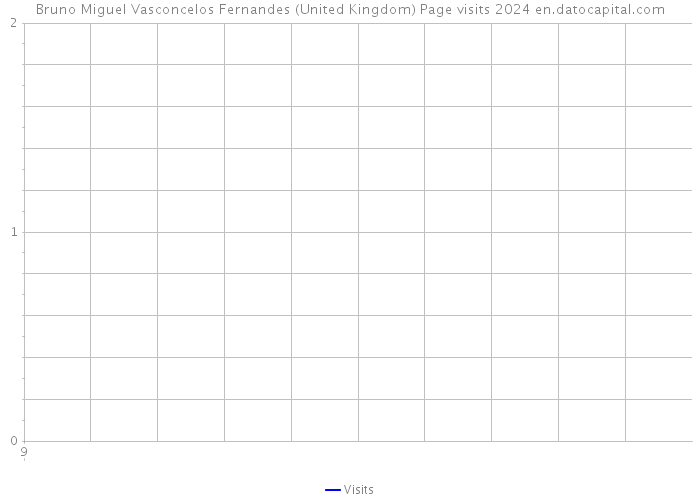 Bruno Miguel Vasconcelos Fernandes (United Kingdom) Page visits 2024 