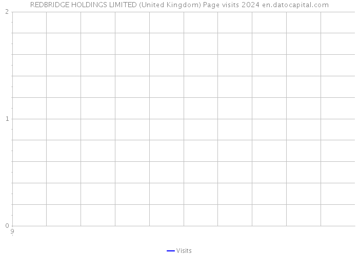 REDBRIDGE HOLDINGS LIMITED (United Kingdom) Page visits 2024 
