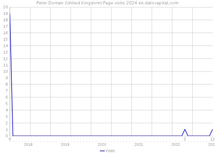 Peter Doman (United Kingdom) Page visits 2024 