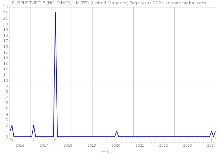 PURPLE TURTLE (HOLDINGS) LIMITED (United Kingdom) Page visits 2024 