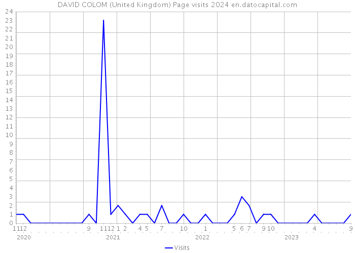 DAVID COLOM (United Kingdom) Page visits 2024 