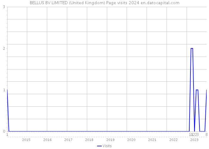 BELLUS BV LIMITED (United Kingdom) Page visits 2024 