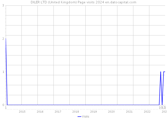 DILER LTD (United Kingdom) Page visits 2024 
