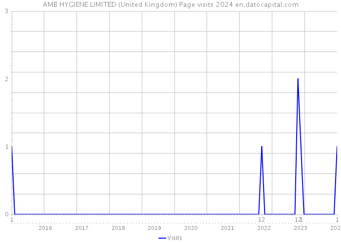AMB HYGIENE LIMITED (United Kingdom) Page visits 2024 
