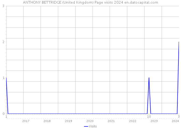 ANTHONY BETTRIDGE (United Kingdom) Page visits 2024 