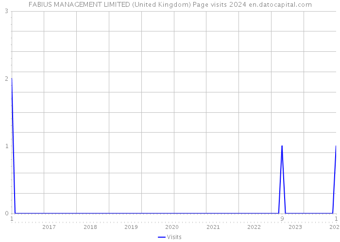 FABIUS MANAGEMENT LIMITED (United Kingdom) Page visits 2024 