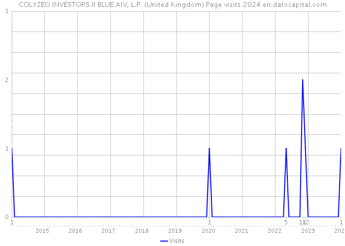 COLYZEO INVESTORS II BLUE AIV, L.P. (United Kingdom) Page visits 2024 