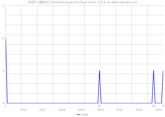 SAED ABBADI (United Kingdom) Page visits 2024 