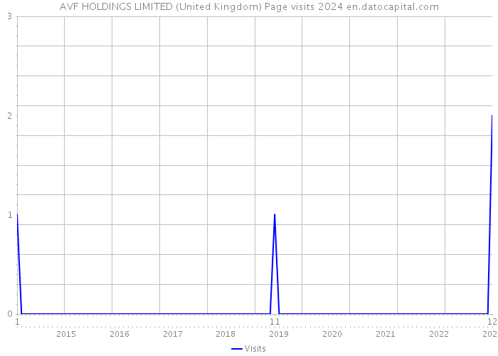 AVF HOLDINGS LIMITED (United Kingdom) Page visits 2024 
