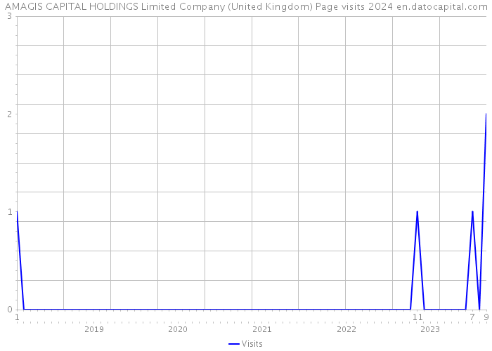 AMAGIS CAPITAL HOLDINGS Limited Company (United Kingdom) Page visits 2024 