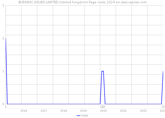 BURNING ISSUES LIMITED (United Kingdom) Page visits 2024 