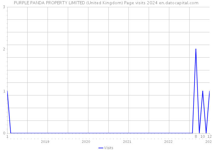 PURPLE PANDA PROPERTY LIMITED (United Kingdom) Page visits 2024 